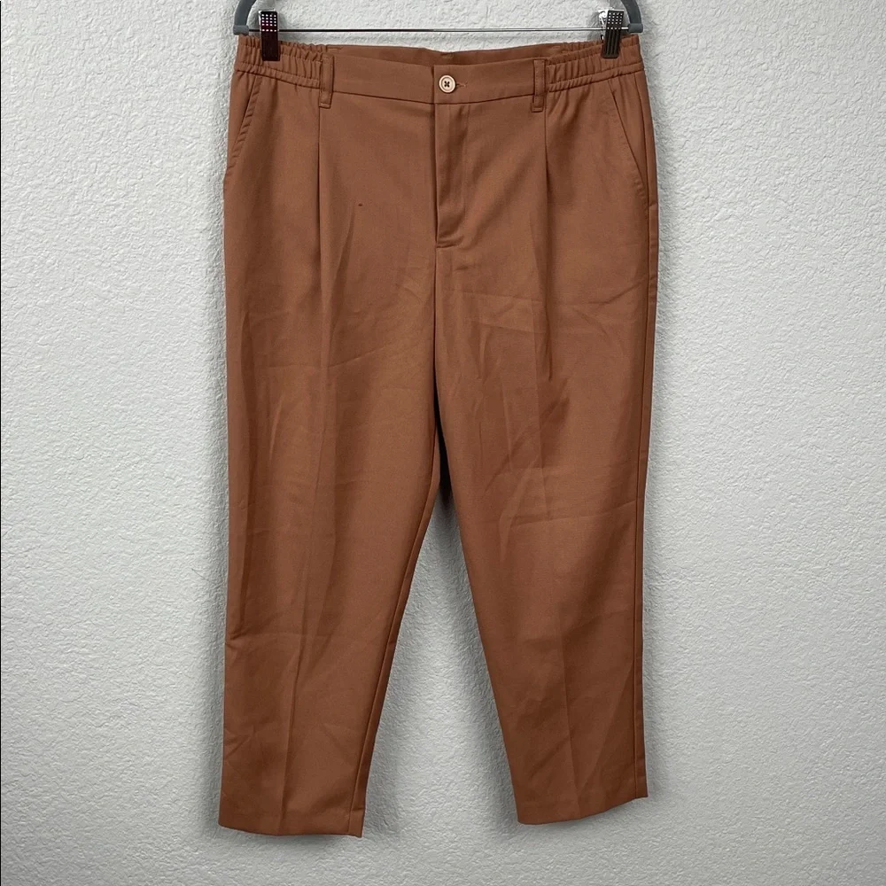 NWT Stilosophy Flannel Pleat Front Trouser Pants Cropped Short Sz IT 48